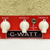 C-Watt - MTS custom module
